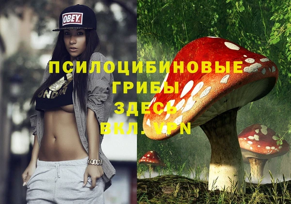 а пвп мука Абаза