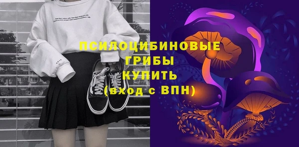 хмурый Алексеевка