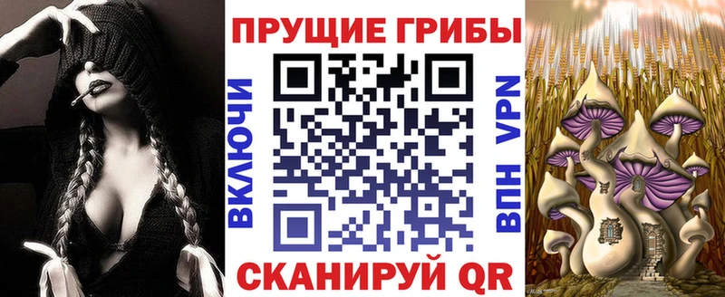 Галлюциногенные грибы мухоморы  цены   kraken   Грозный 