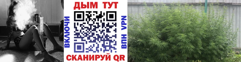 нарко площадка состав  Грозный  blacksprut зеркало  МАРИХУАНА Amnesia  наркошоп 
